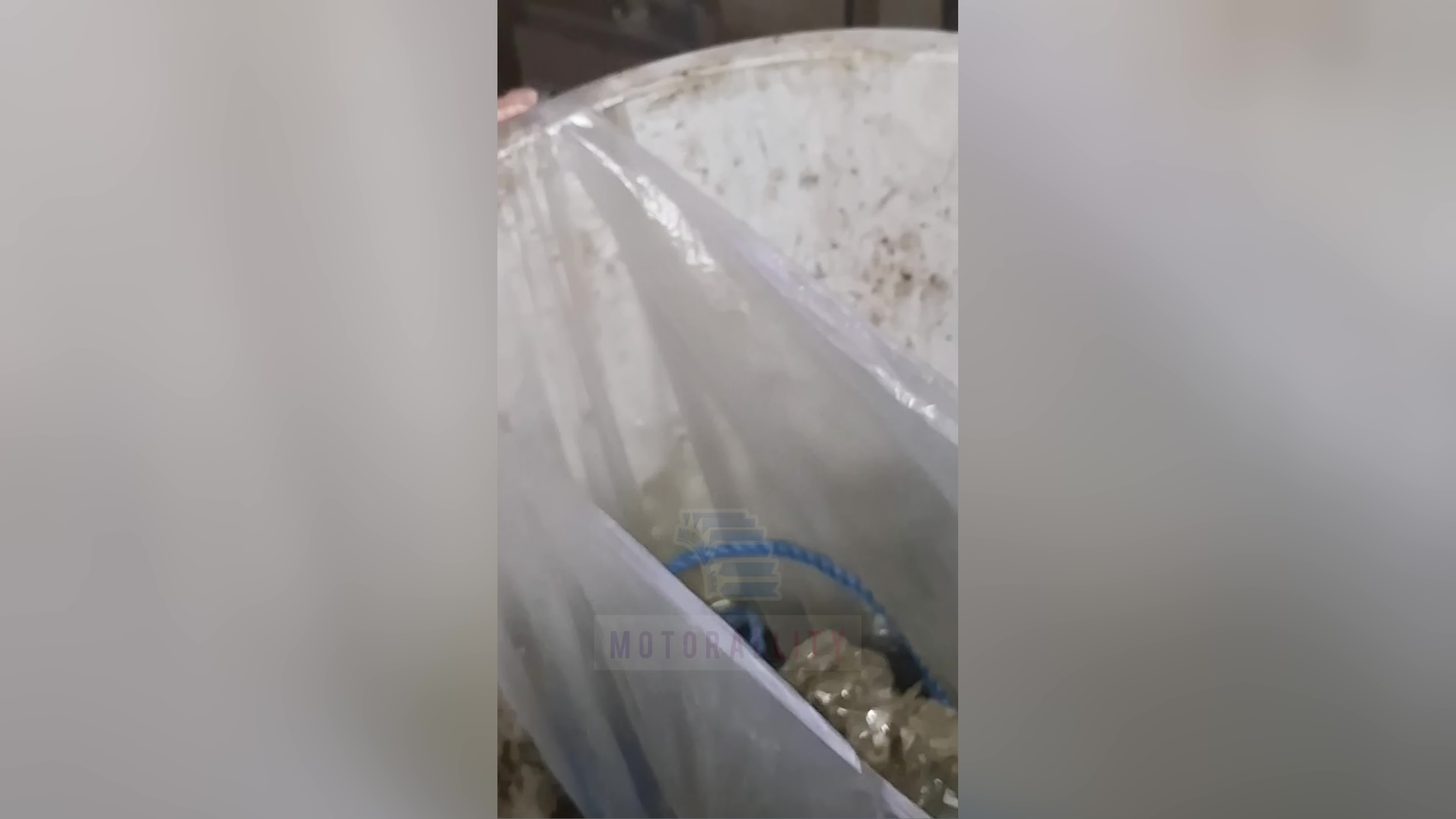 پوستر پشم بی پشم! ماشین ترفند خودرو سگ حیوانات آموزش اموزشی diy...