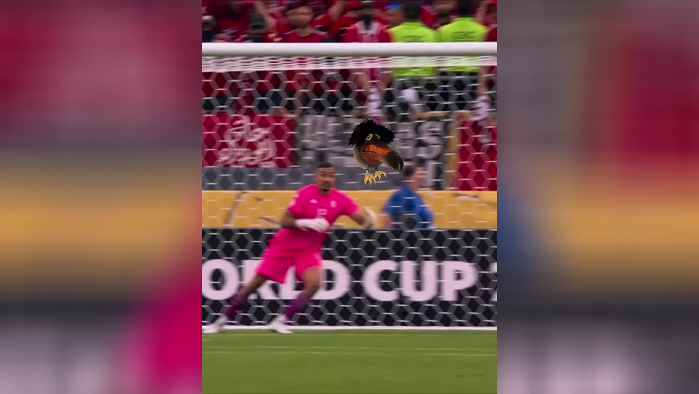 پوستر کی این کارو انجام داد 😭🙏 من انجام دادم میم اسکیباب ییلدیز...
