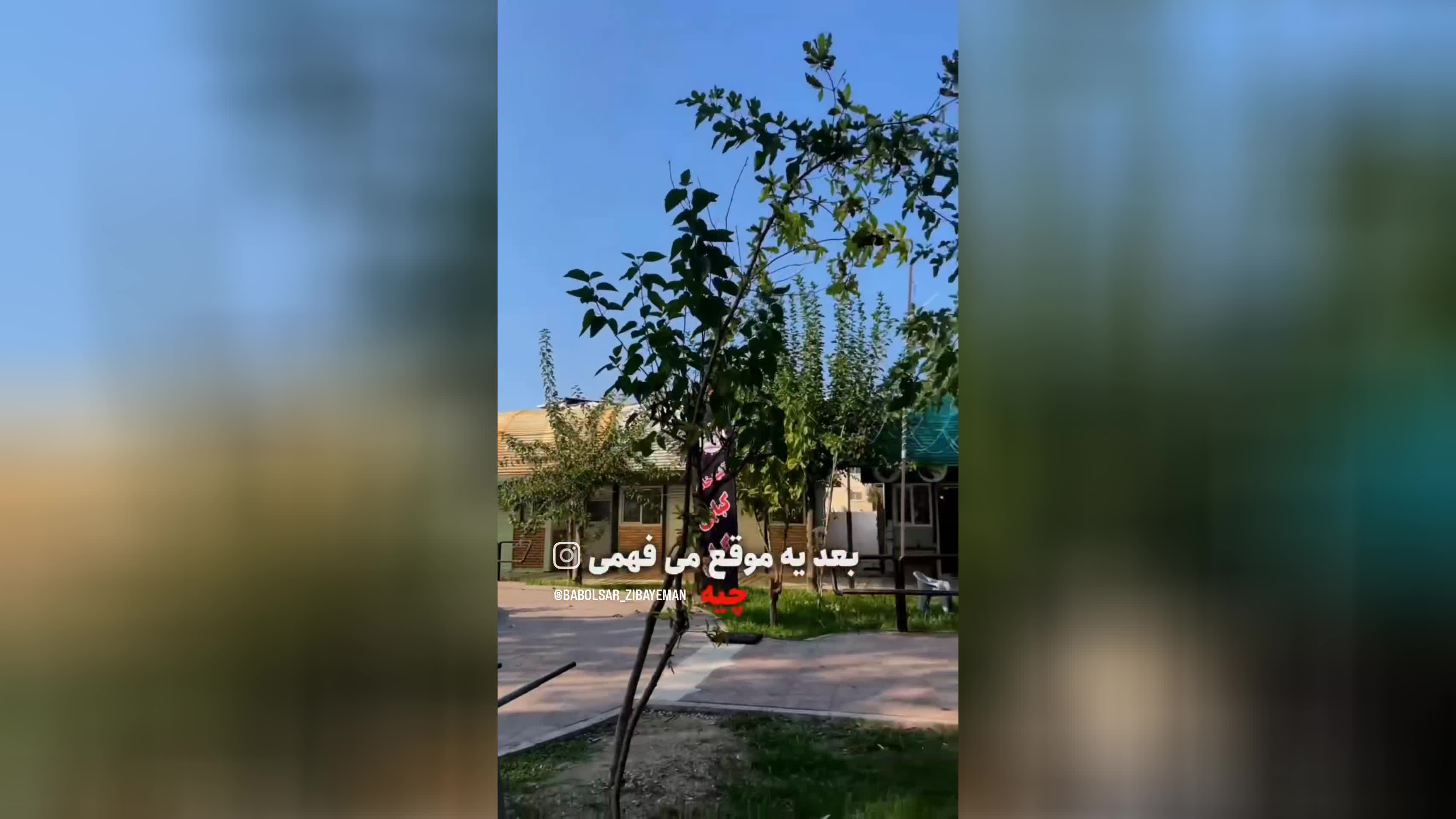 پیچیدن جدید نان شکم پر