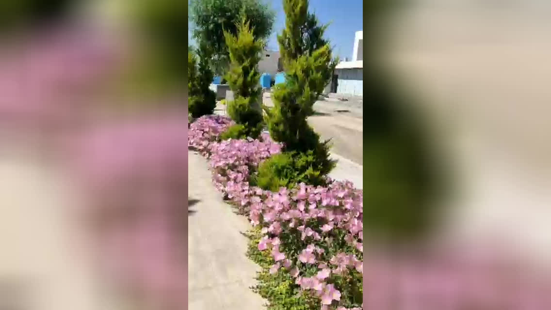 پوستر بهترین طراح فضای سبز در تهران و کرج