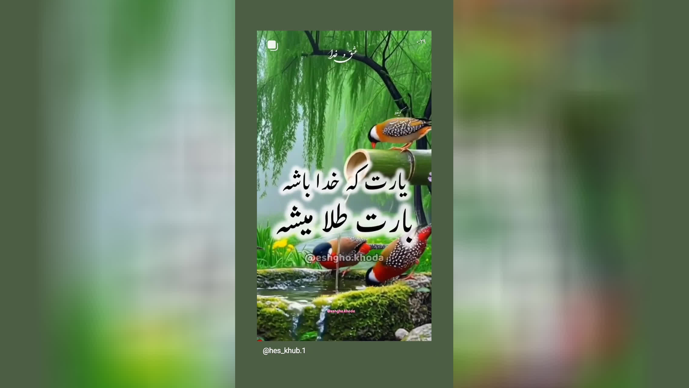 یارت که خدا باشه