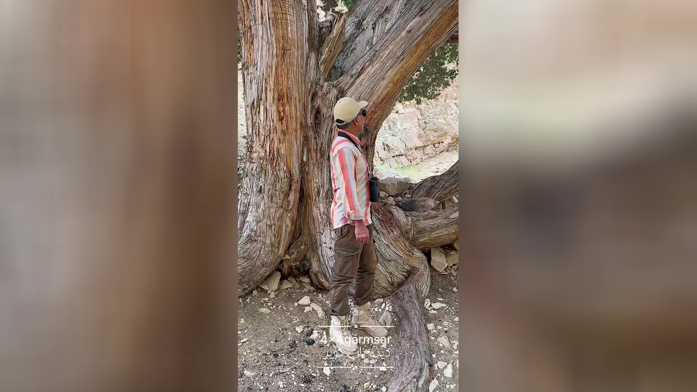 پوستر تور دیدبان کویر