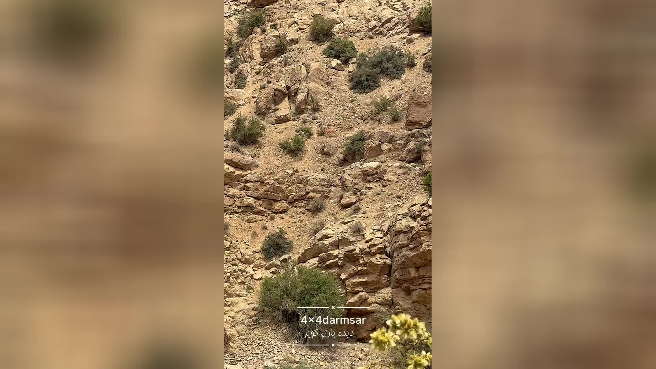 پوستر تور دیده بان کویر