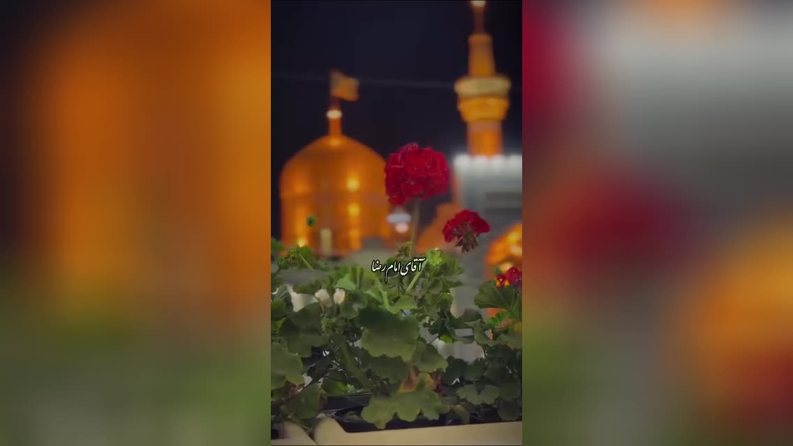 پوستر عاشقتم آقای مهربون یا ضامن آهو...