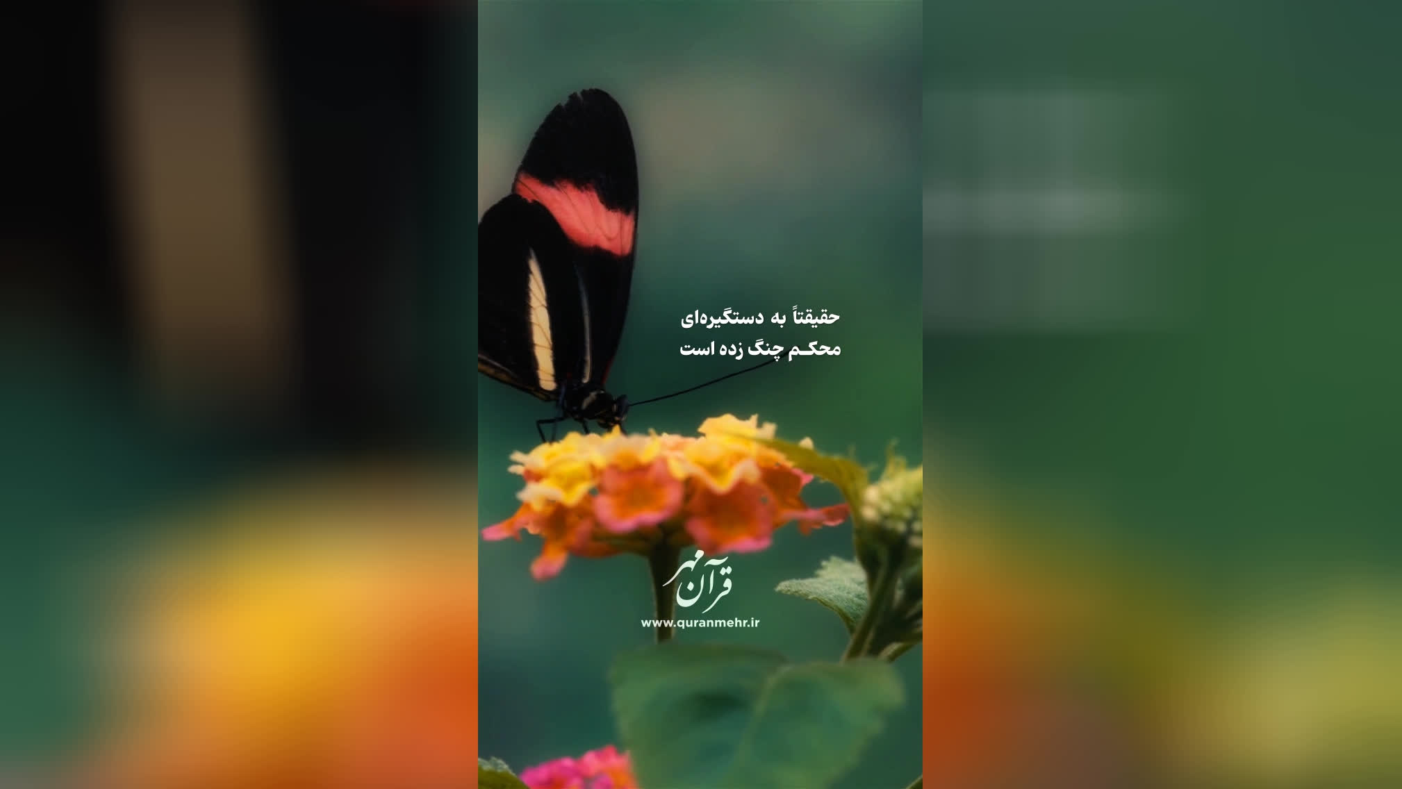 تسلیم و نیکوکار - سوره لقمان آیه 22 (قرآن مهر)