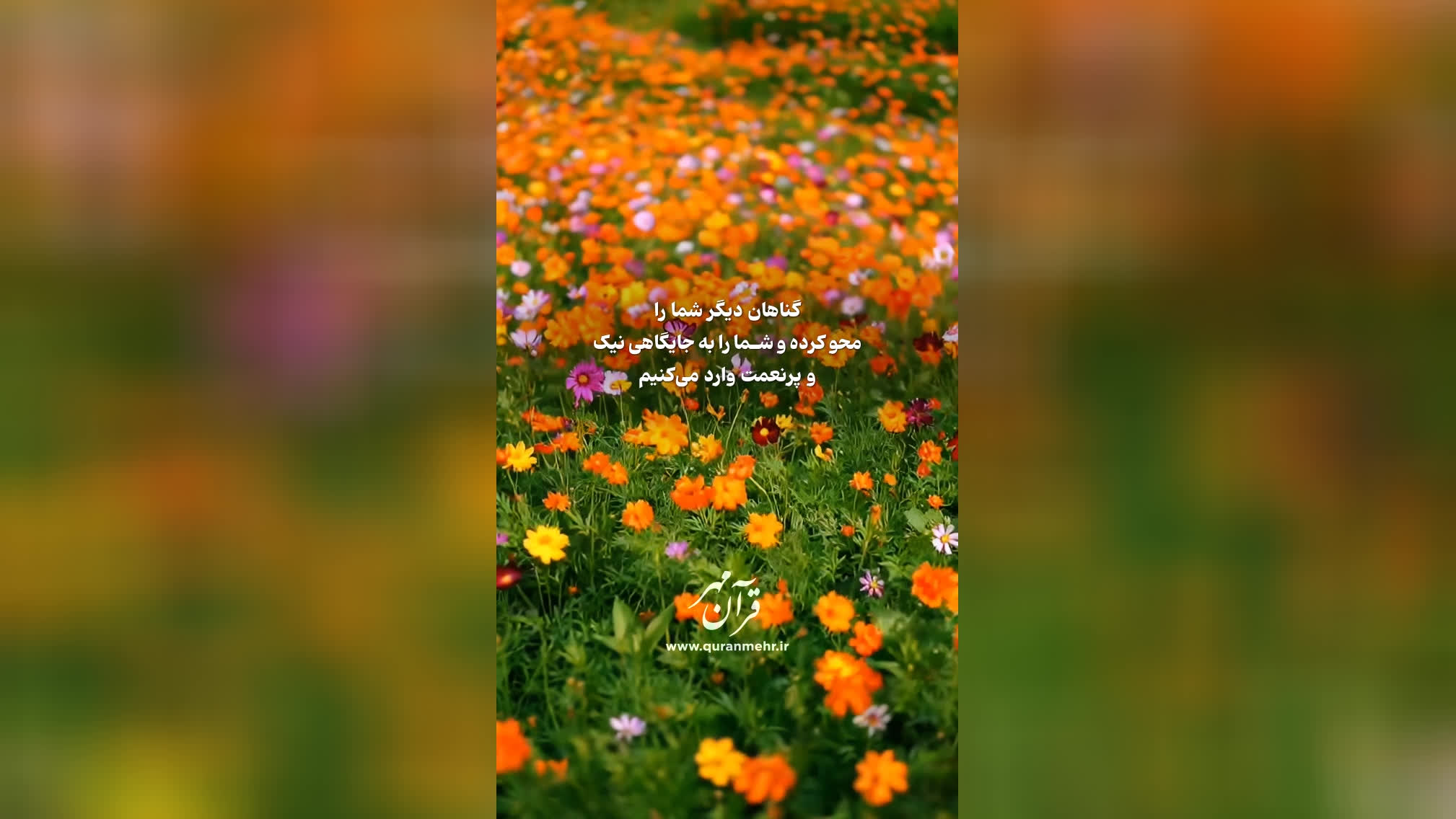 جایگاه نیک - سوره نساء آیه 31 (قرآن مهر)