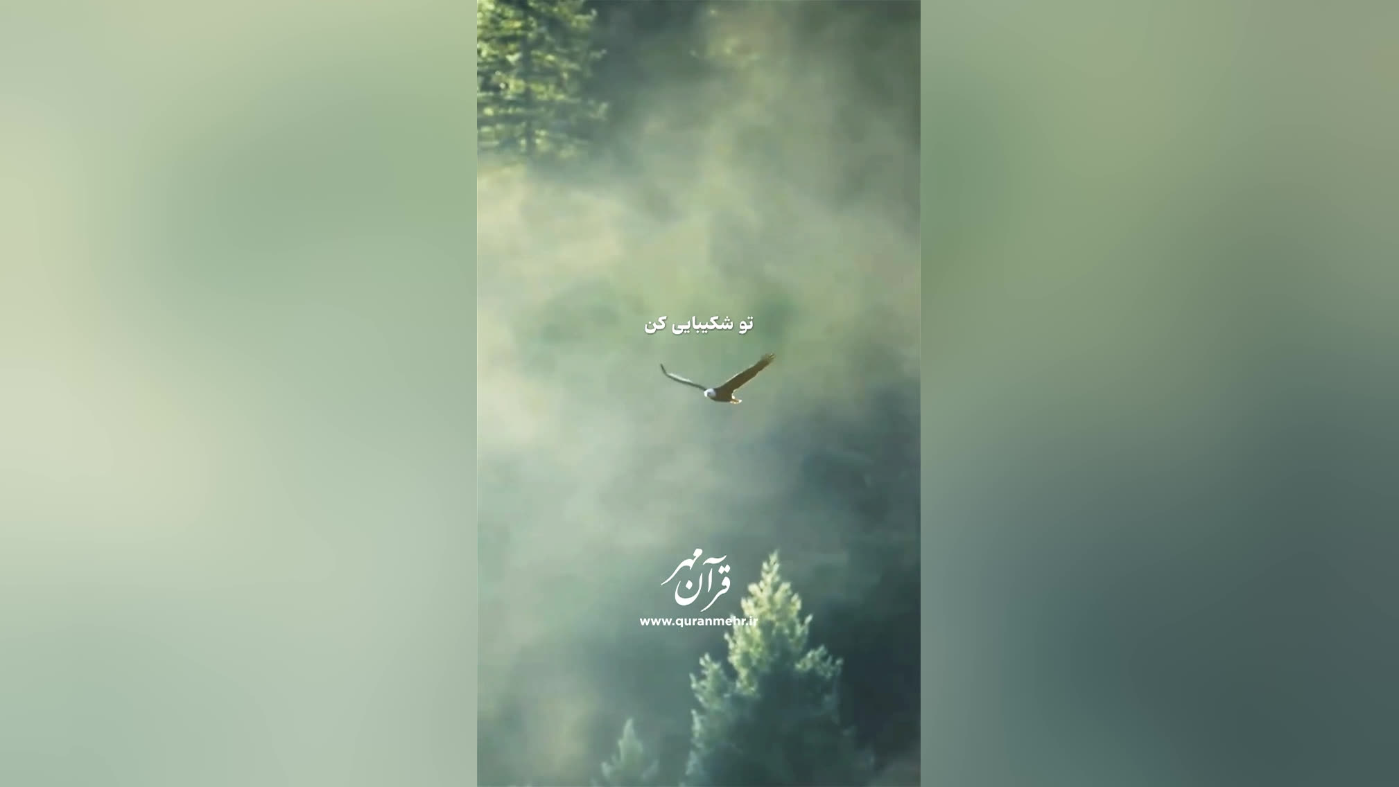 شکیبایی - سوره نحل آیات 126-127 (قرآن مهر)