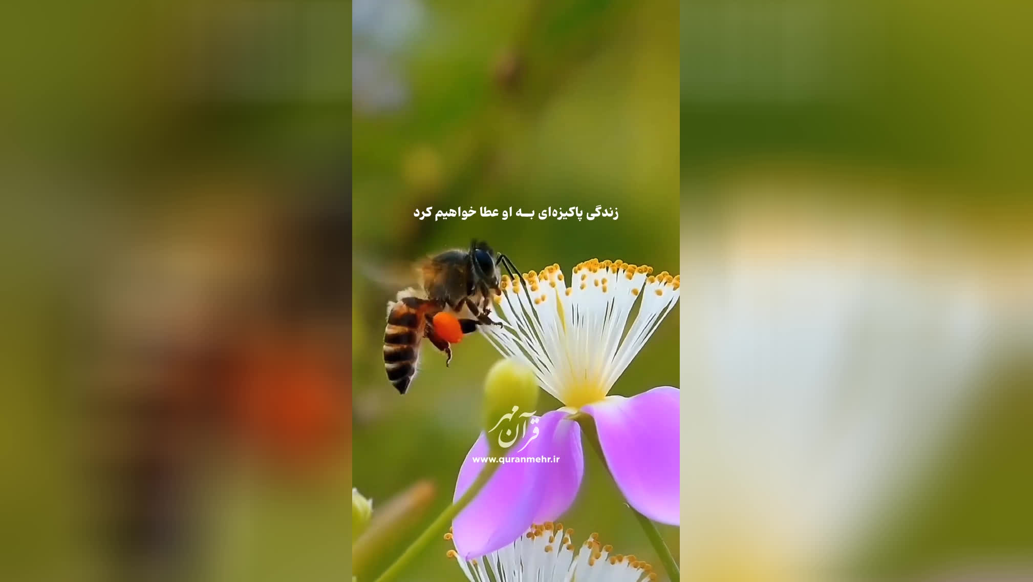 پاداش عملکرد - سوره نحل آیه 97 (قرآن مهر)